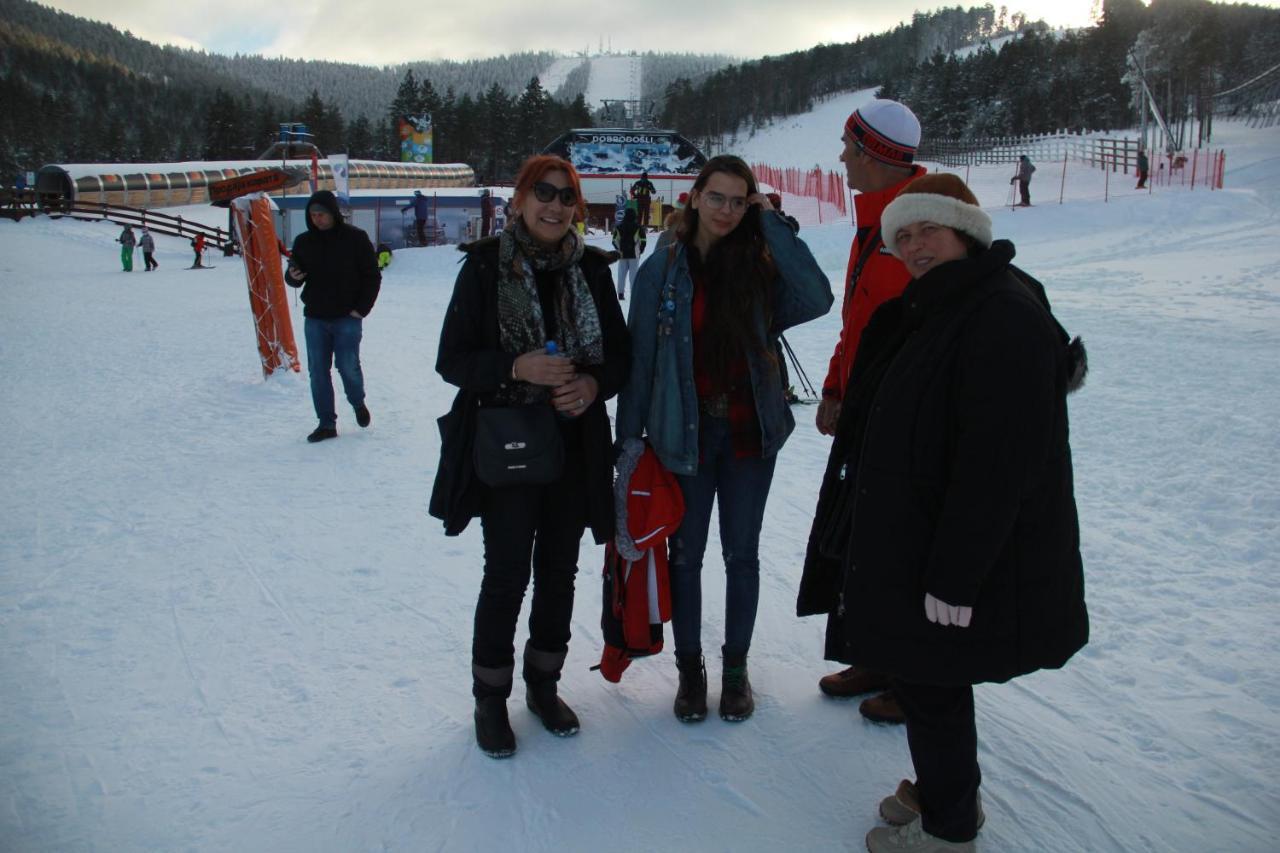 Vila Zlatibor Tornikヴィラ エクステリア 写真